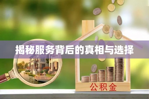 马关揭秘服务背后的真相与选择
