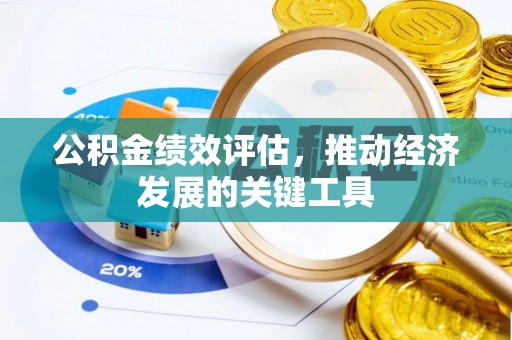 马关公积金绩效评估，推动经济发展的关键工具