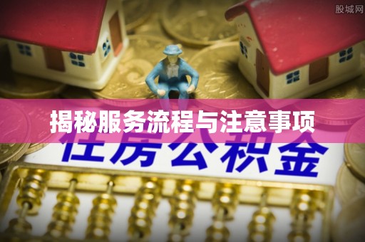 马关揭秘服务流程与注意事项