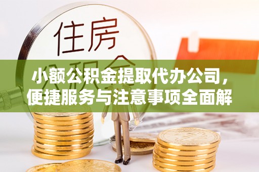 马关小额公积金提取代办公司，便捷服务与注意事项全面解析