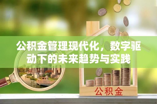马关公积金管理现代化，数字驱动下的未来趋势与实践
