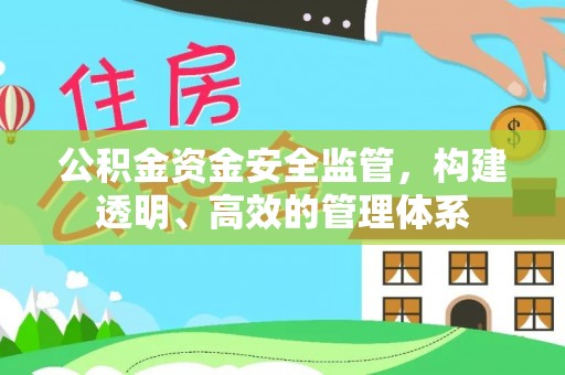 马关公积金资金安全监管，构建透明、高效的管理体系