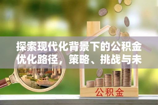 马关探索现代化背景下的公积金优化路径，策略、挑战与未来展望