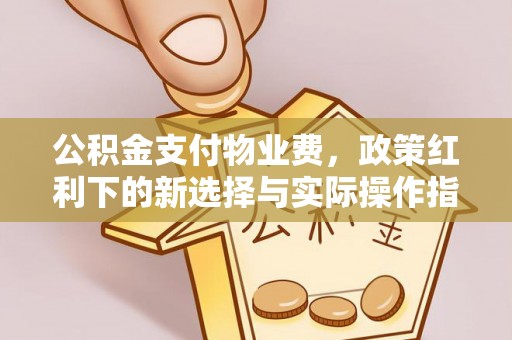 马关公积金支付物业费，政策红利下的新选择与实际操作指南