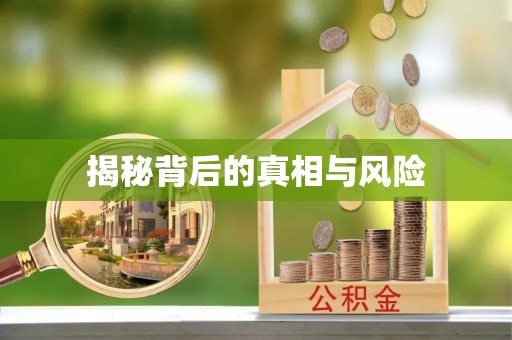 马关揭秘背后的真相与风险