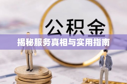 马关揭秘服务真相与实用指南