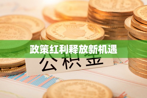 马关政策红利释放新机遇