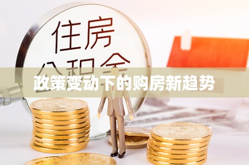 马关政策变动下的购房新趋势