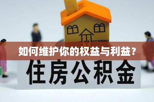 马关如何维护你的权益与利益？