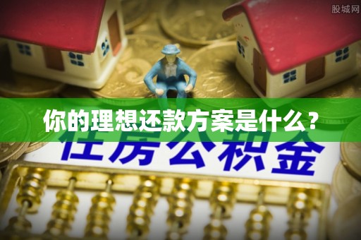 马关你的理想还款方案是什么？