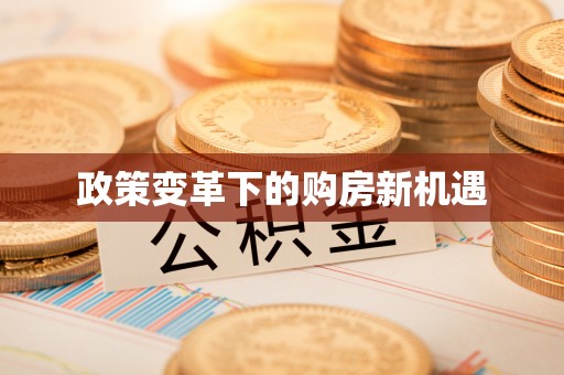 马关政策变革下的购房新机遇