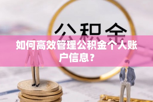 马关如何高效管理公积金个人账户信息？