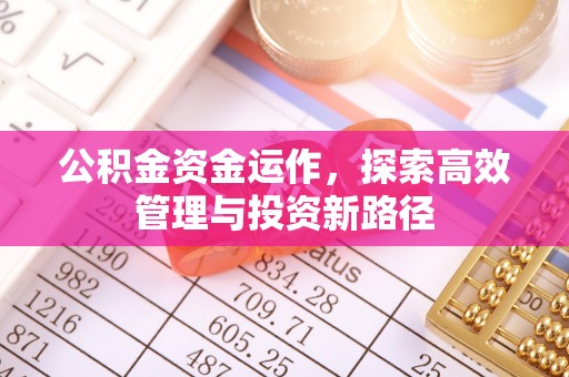 马关公积金资金运作，探索高效管理与投资新路径