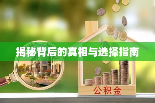马关揭秘背后的真相与选择指南
