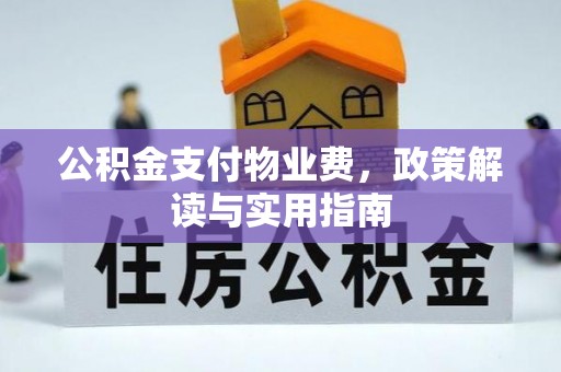 马关公积金支付物业费，政策解读与实用指南