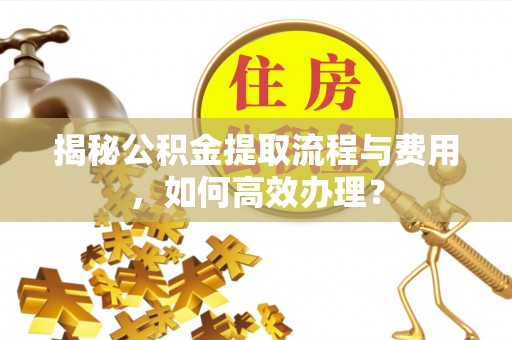 马关揭秘公积金提取流程与费用，如何高效办理？