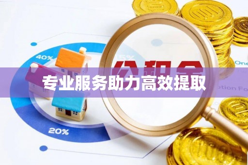 马关专业服务助力高效提取