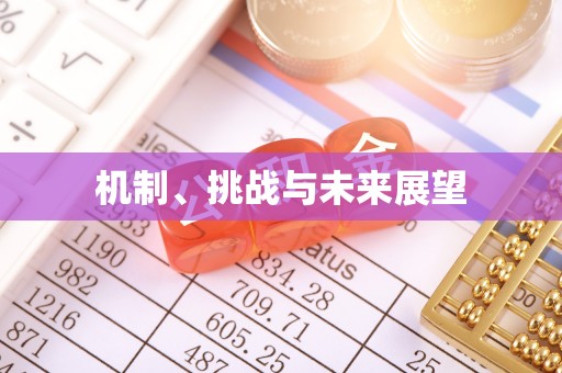马关机制、挑战与未来展望